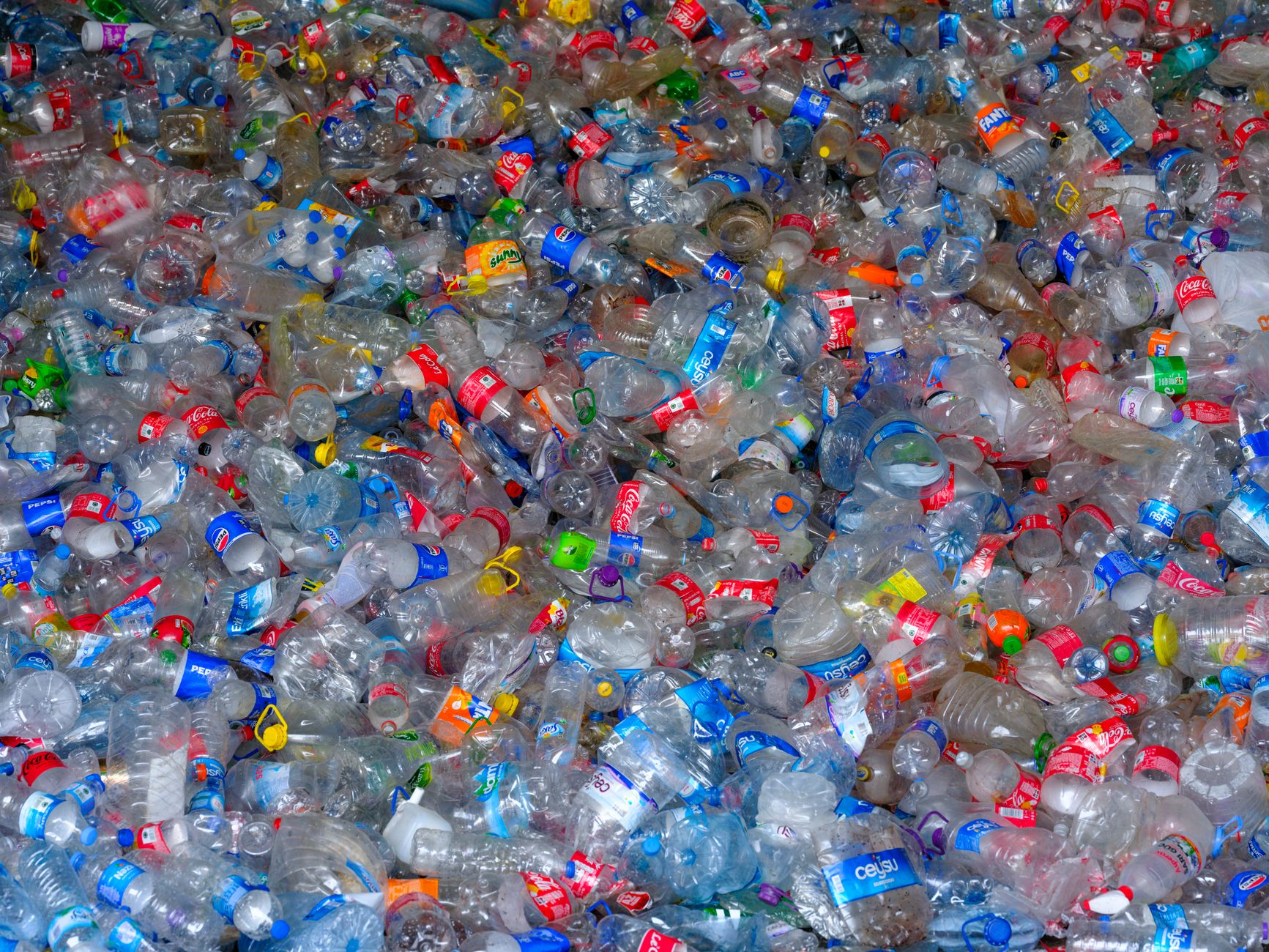 Jak działa recykling plastiku: droga butelki od kosza do nowego produktu - zdjecie w tresci