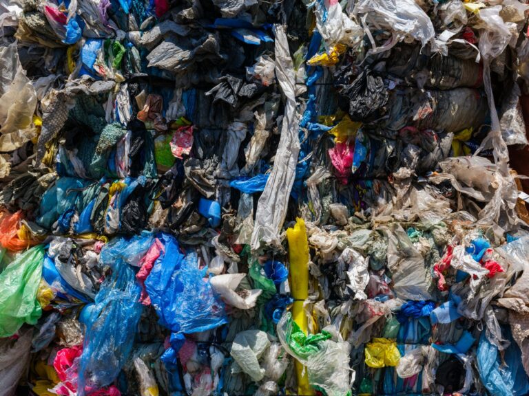 Jak działa recykling plastiku: droga butelki od kosza do nowego produktu - ilustracja artykulu